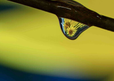 Réfraction
