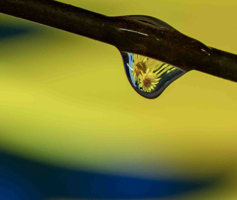 Réfraction